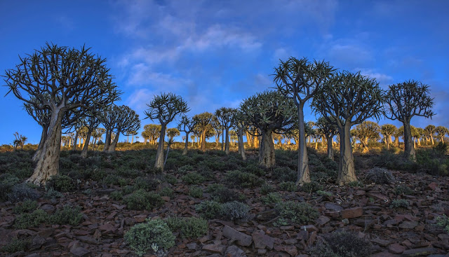 Paisagem Sul africana. Uma&nbsp;viagem!